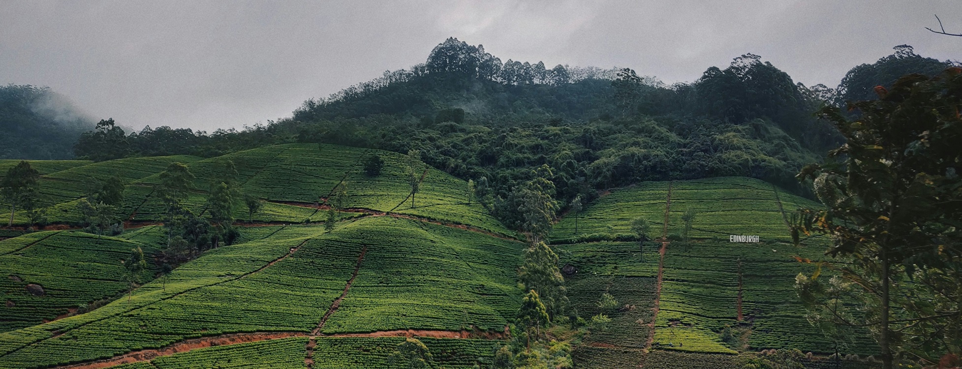 Descopera Minunea Asiei – Sri Lanka