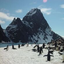 Croazieră de grup cu zbor inclus - America de Sud și Antarctica