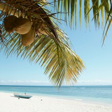 CIRCUIT MADAGASCAR - Țărâmul culturii malgase și al peisajelor sălbatice - Vacanță în Madagascar