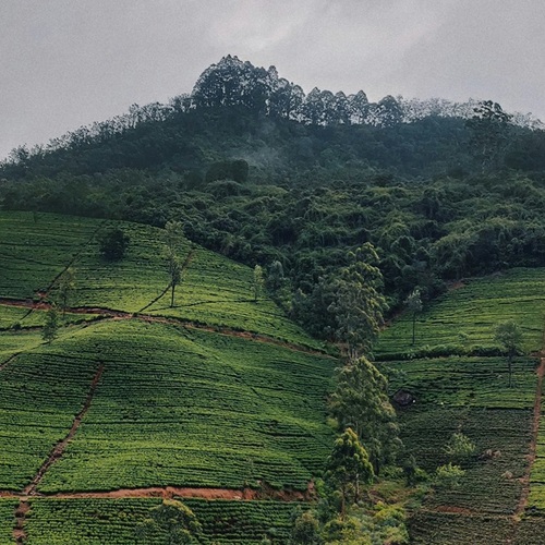 Descopera Minunea Asiei – Sri Lanka